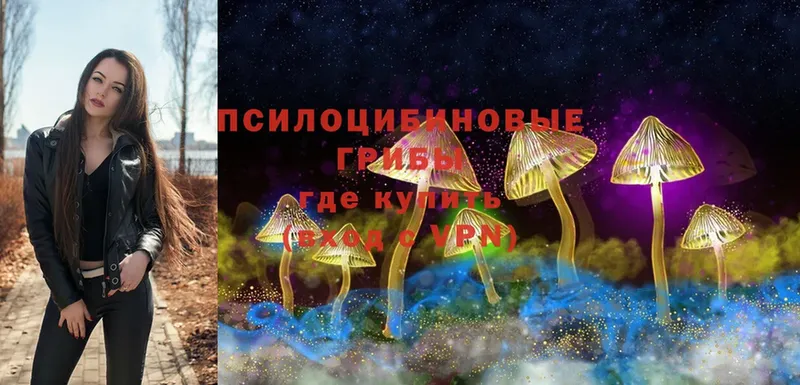 Галлюциногенные грибы MAGIC MUSHROOMS  Геленджик 